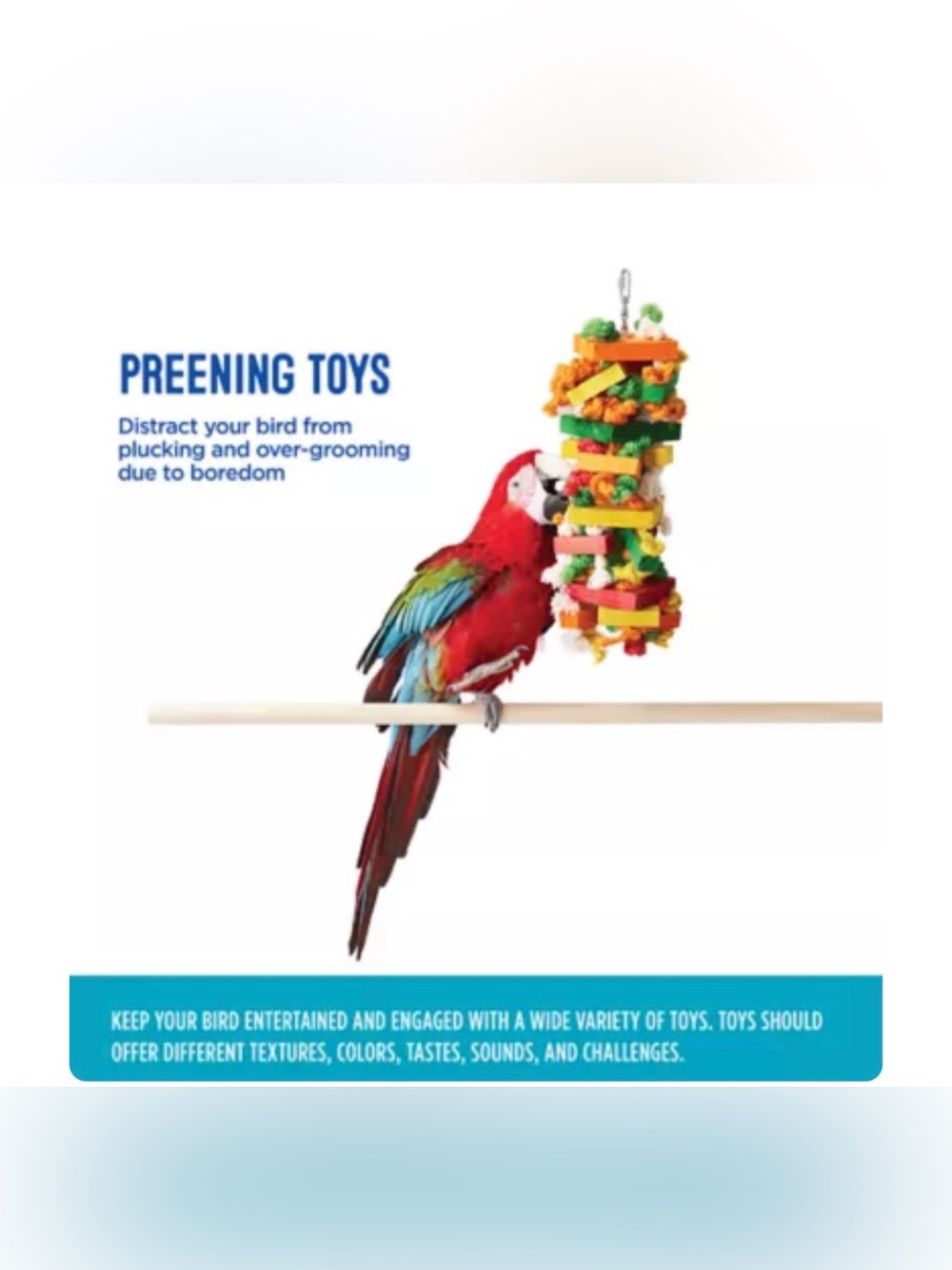 All Living Things® Knots & Blocks Bird Toy